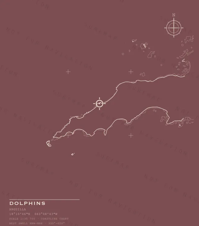 Dolphins chart, the full artwork printed on the back