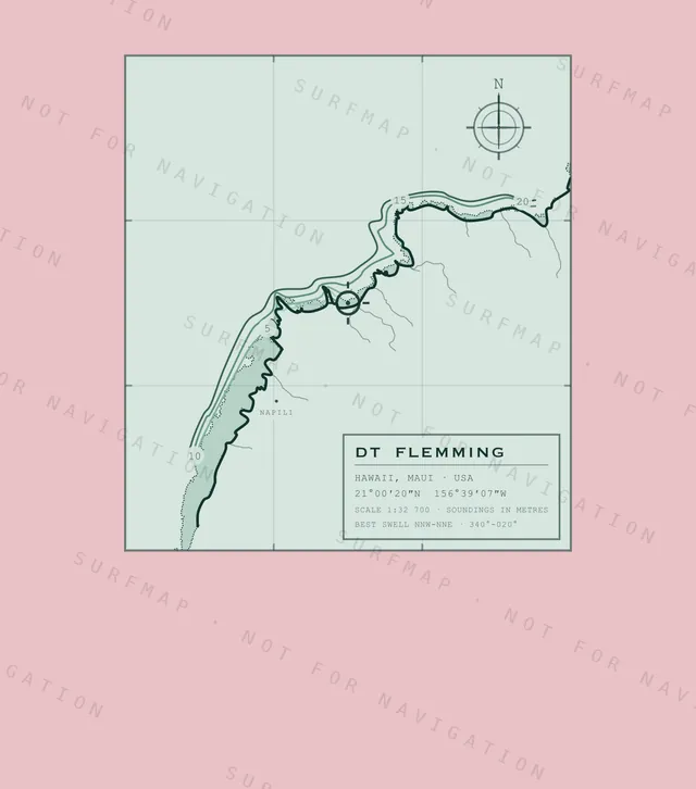 DT Flemming chart, the full artwork printed on the back