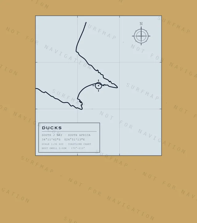 Ducks chart, the full artwork printed on the back
