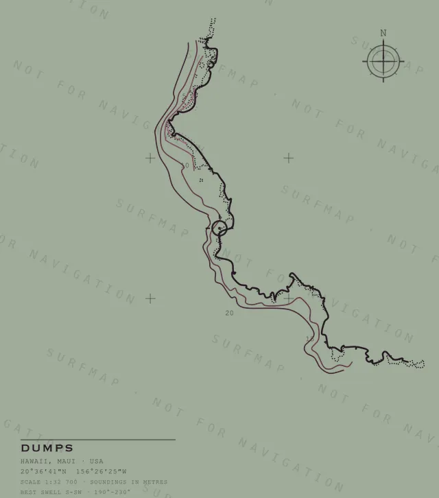 Dumps chart, the full artwork printed on the back