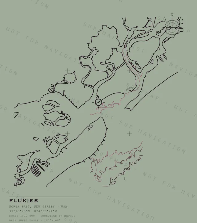 Flukies chart, the full artwork printed on the back