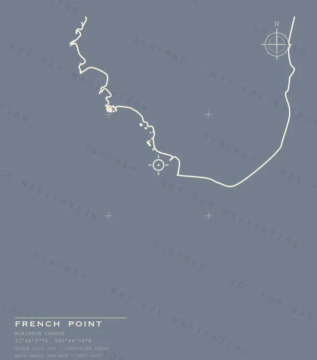 French Point chart, the full artwork printed on the back
