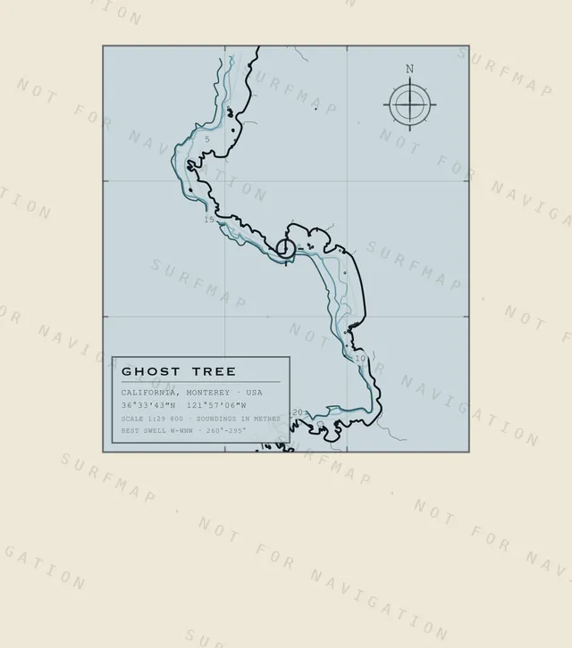 Ghost Tree chart, the full artwork printed on the back