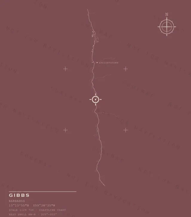 Gibbs chart, the full artwork printed on the back