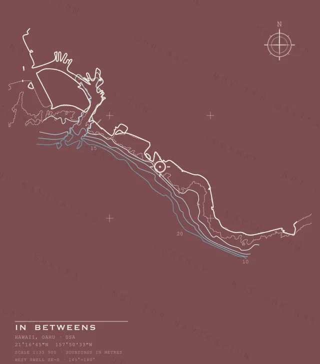 In Betweens chart, the full artwork printed on the back
