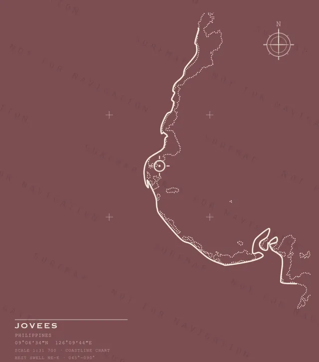 Jovees chart, the full artwork printed on the back