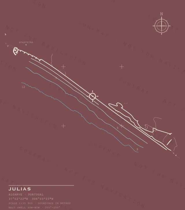 Julias chart, the full artwork printed on the back