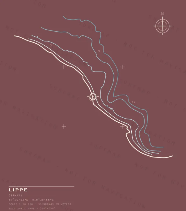 Lippe chart, the full artwork printed on the back
