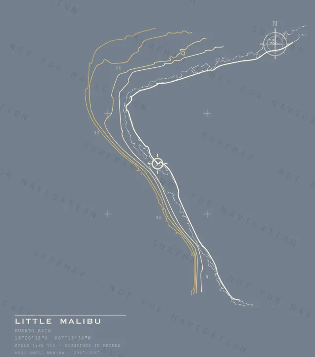 Little Malibu chart, the full artwork printed on the back