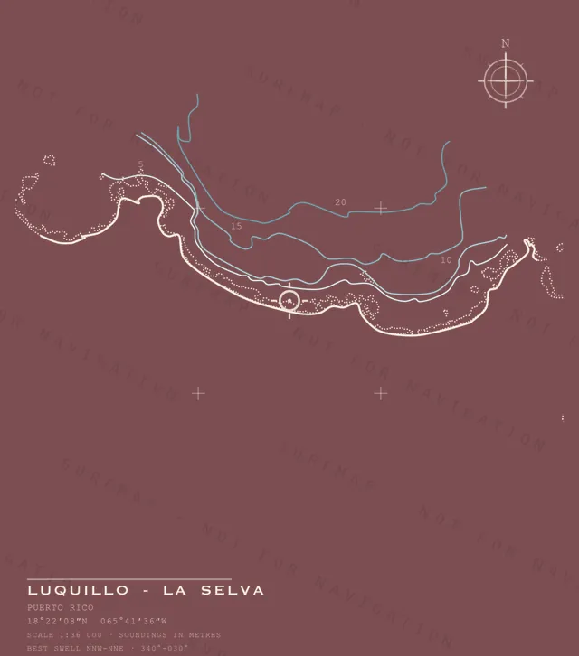 Luquillo - La Selva chart, the full artwork printed on the back