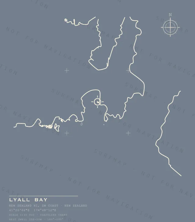 Lyall Bay chart, the full artwork printed on the back