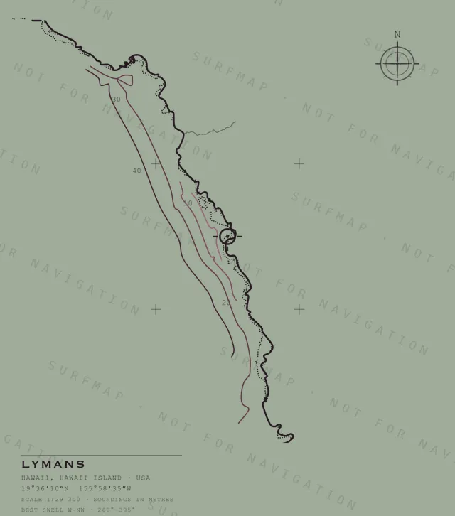 Lymans chart, the full artwork printed on the back