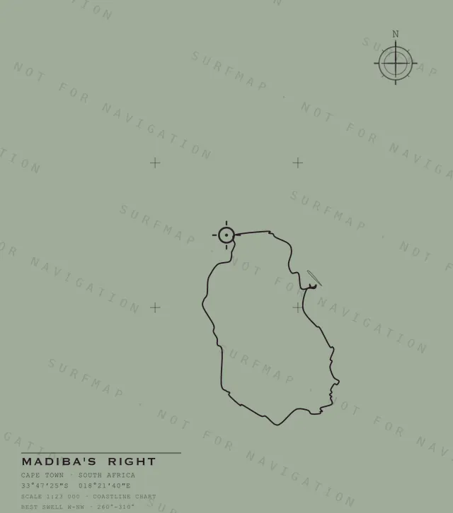 Madiba's Right chart, the full artwork printed on the back