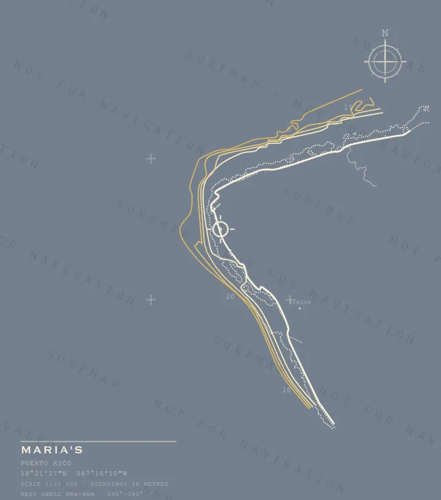 Maria's chart, the full artwork printed on the back
