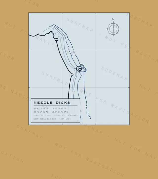 Needle Dicks chart, the full artwork printed on the back