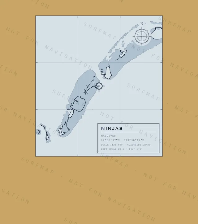 Ninjas chart, the full artwork printed on the back