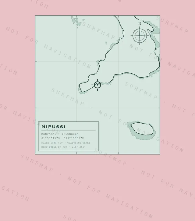 Nipussi chart, the full artwork printed on the back