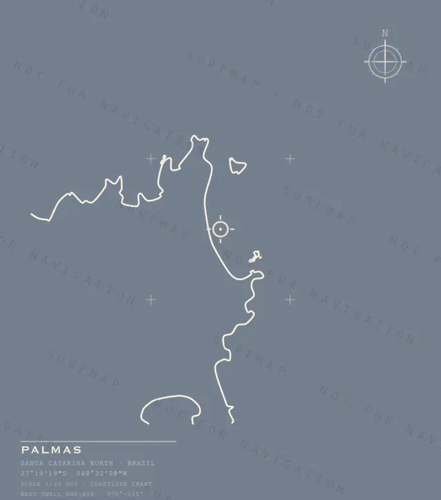 Palmas chart, the full artwork printed on the back