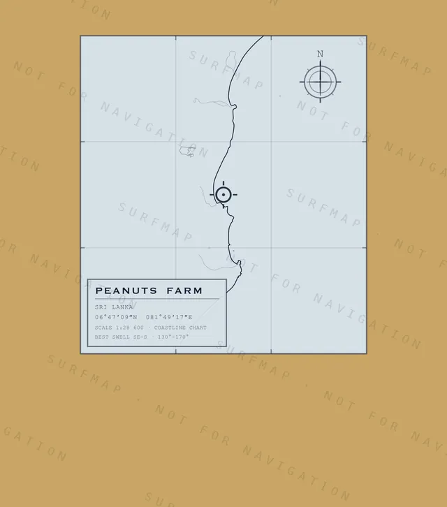 Peanuts Farm chart, the full artwork printed on the back