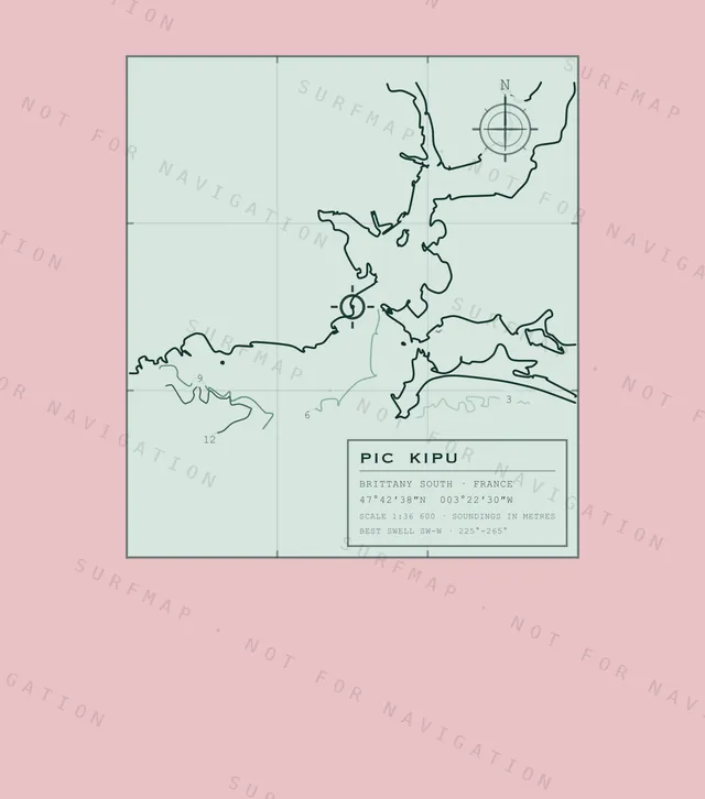 Pic Kipu chart, the full artwork printed on the back