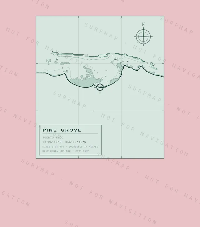 Pine Grove chart, the full artwork printed on the back