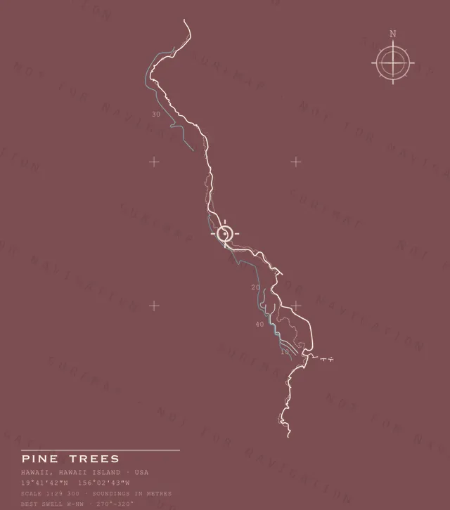Pine Trees chart, the full artwork printed on the back