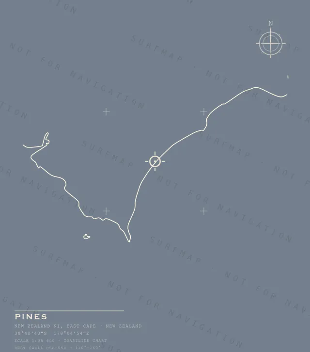 Pines chart, the full artwork printed on the back