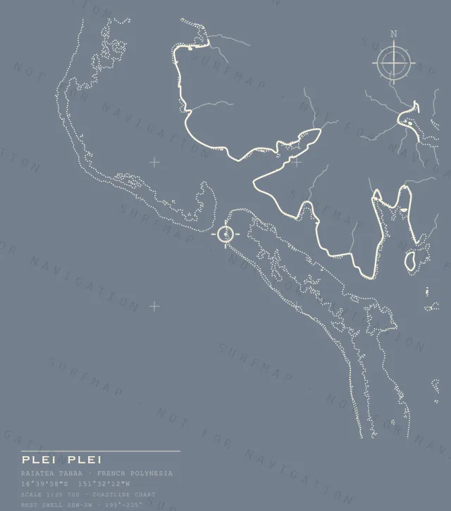 Plei Plei chart, the full artwork printed on the back