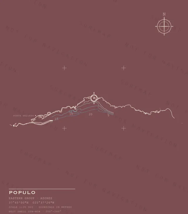 Populo chart, the full artwork printed on the back