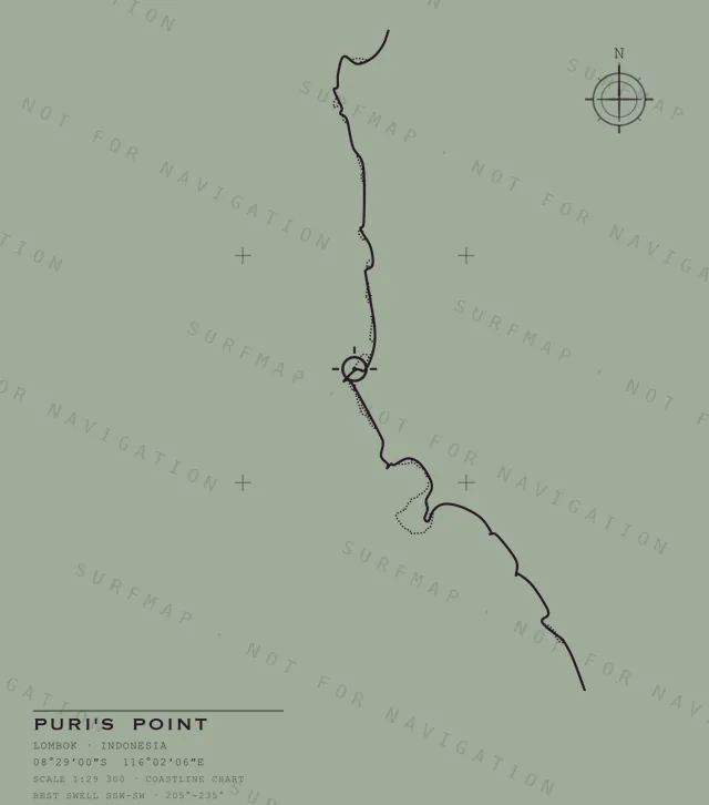 Puri's Point chart, the full artwork printed on the back