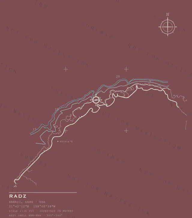 Radz chart, the full artwork printed on the back