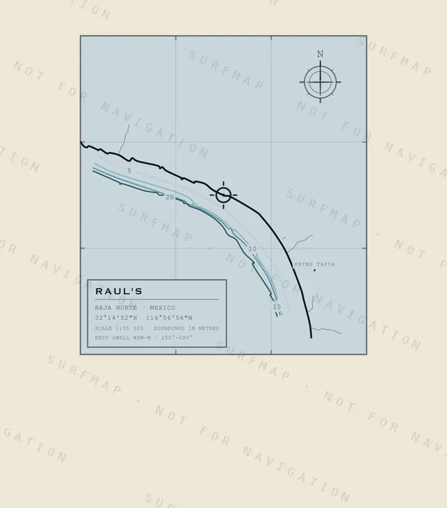 Raul's chart, the full artwork printed on the back