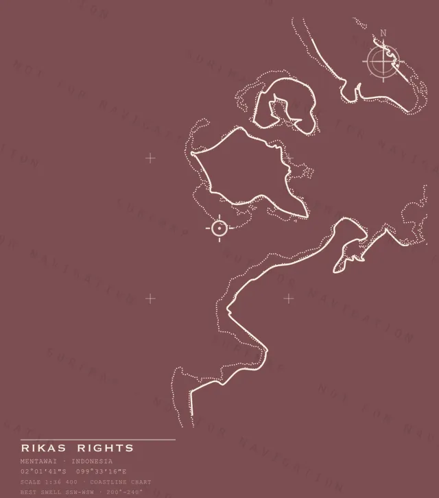 Rikas Rights chart, the full artwork printed on the back