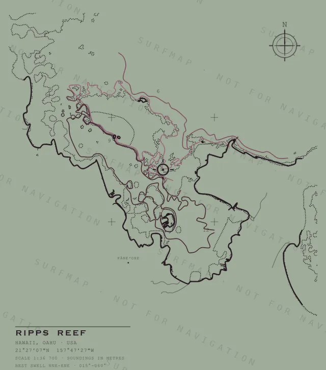 Ripps Reef chart, the full artwork printed on the back