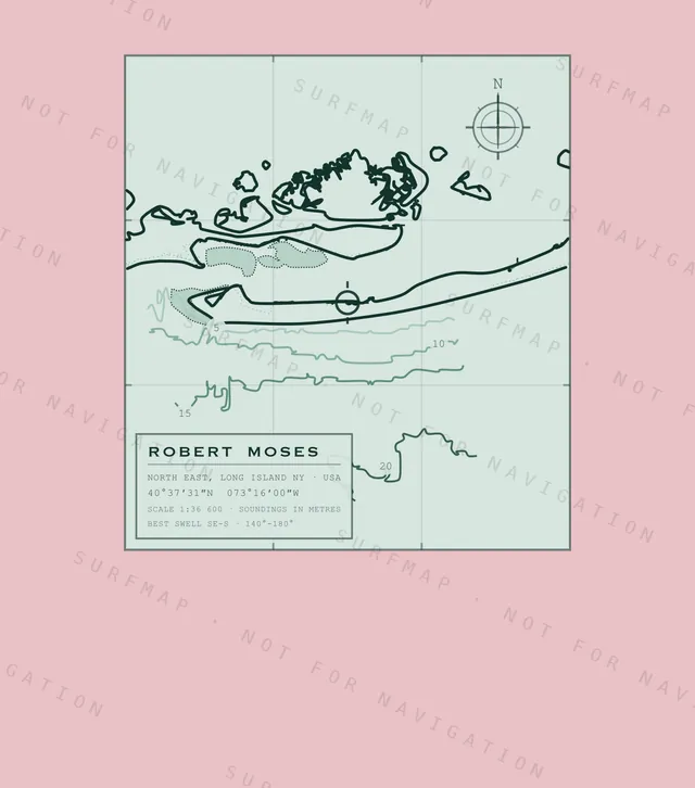 Robert Moses chart, the full artwork printed on the back