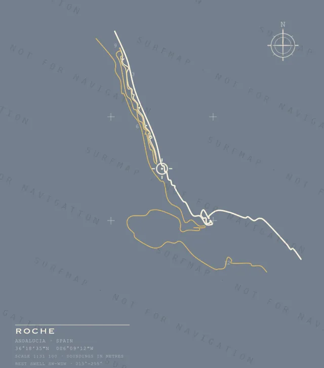 Roche chart, the full artwork printed on the back