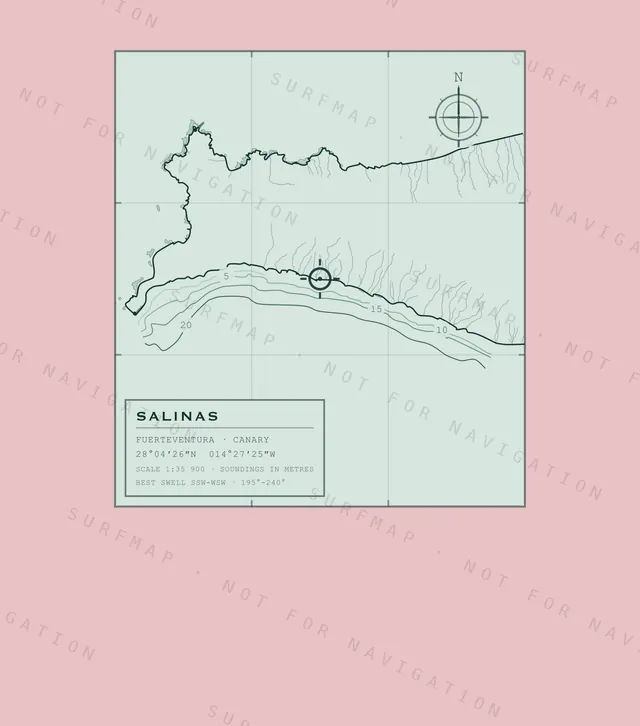 Salinas chart, the full artwork printed on the back