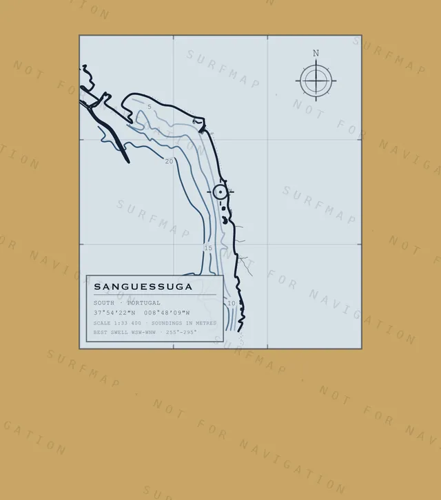 Sanguessuga chart, the full artwork printed on the back