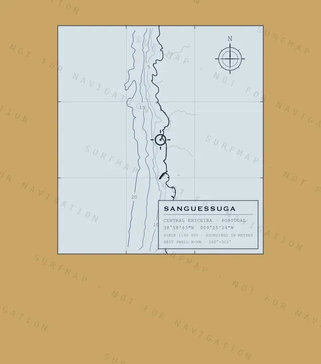 Sanguessuga chart, the full artwork printed on the back