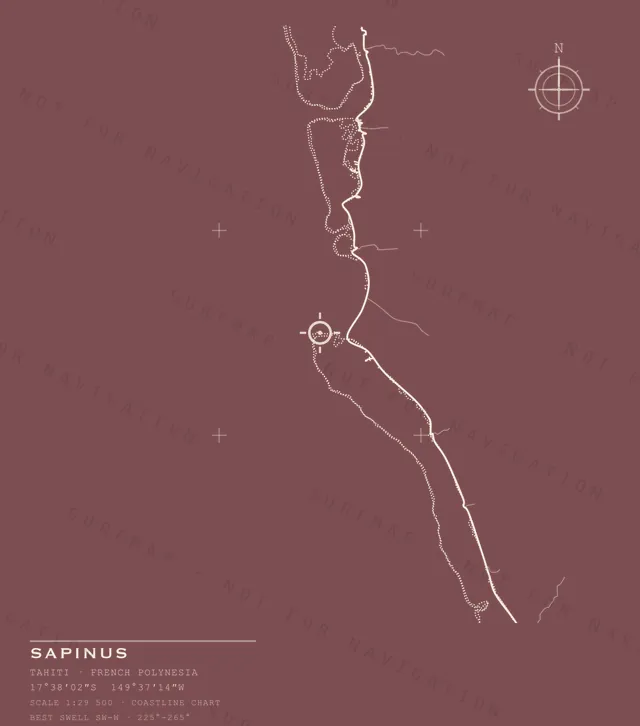 Sapinus chart, the full artwork printed on the back