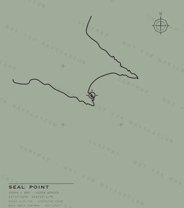 Seal Point chart, the full artwork printed on the back