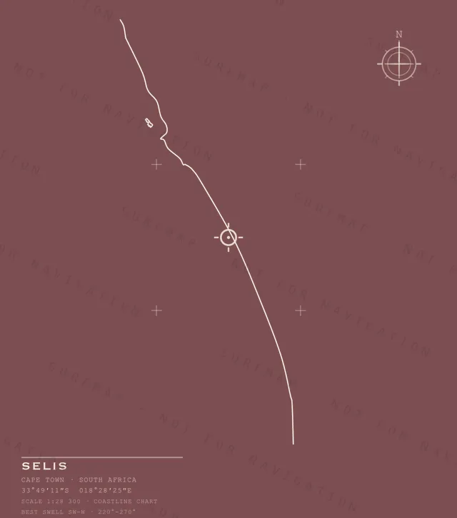 Selis chart, the full artwork printed on the back