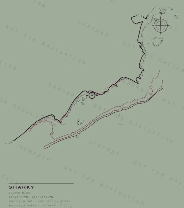 Sharky chart, the full artwork printed on the back