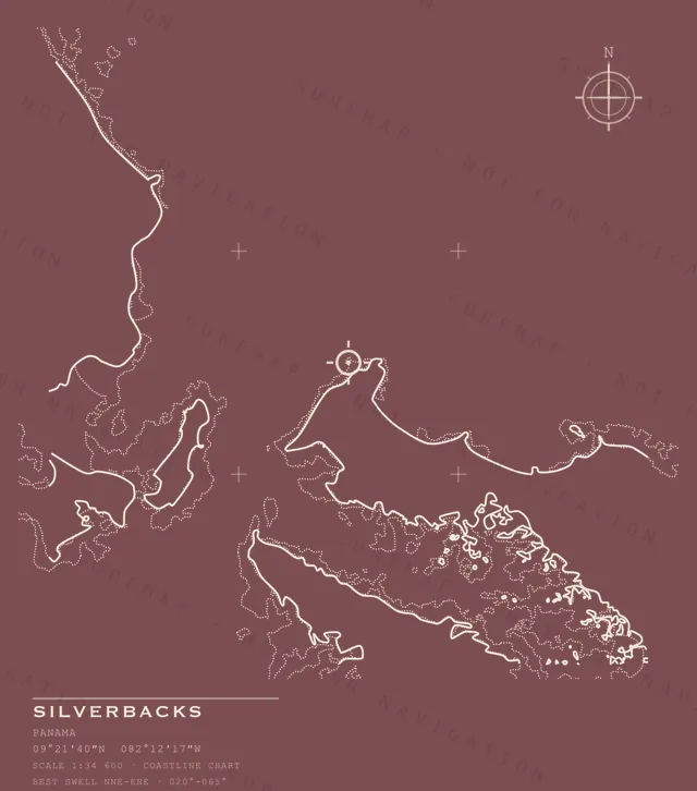 Silverbacks chart, the full artwork printed on the back