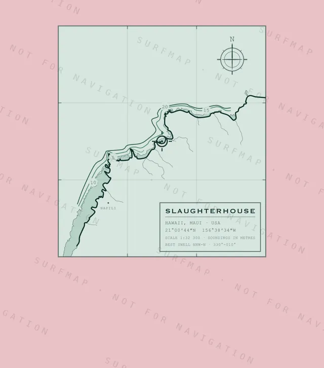 Slaughterhouse chart, the full artwork printed on the back