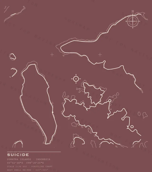 Suicide chart, the full artwork printed on the back