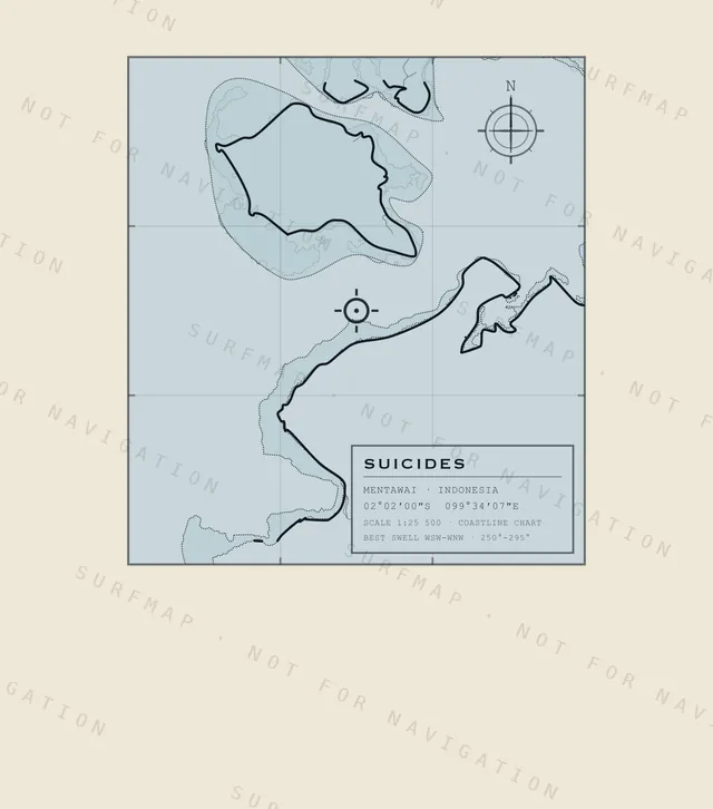 Suicides chart, the full artwork printed on the back