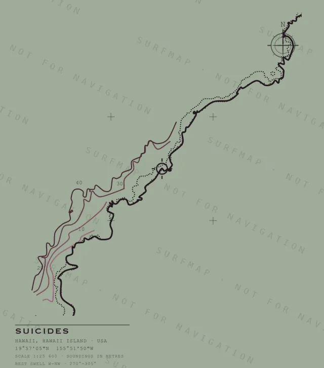 Suicides chart, the full artwork printed on the back