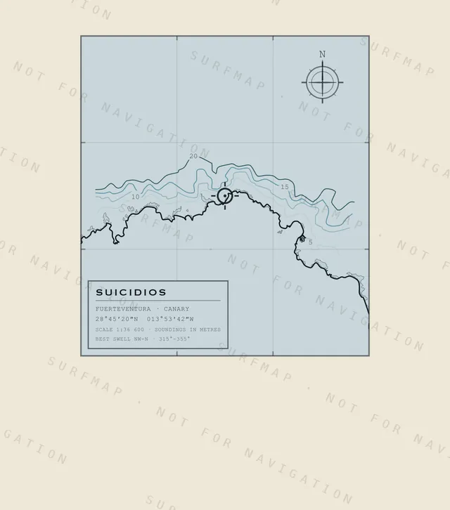 Suicidios chart, the full artwork printed on the back