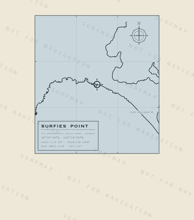 Surfies Point chart, the full artwork printed on the back